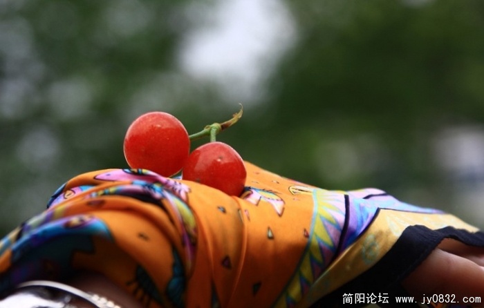 照片 196.jpg