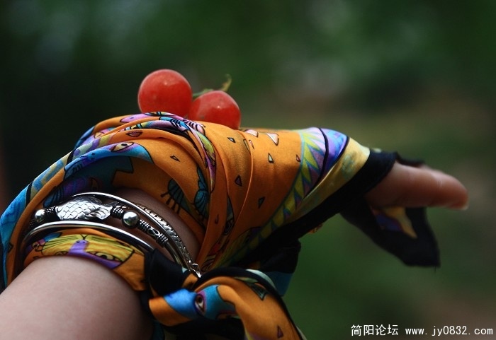 照片 198.jpg