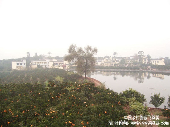 9d5cbf6f74c93c272425be941e18c9db-6019.jpg