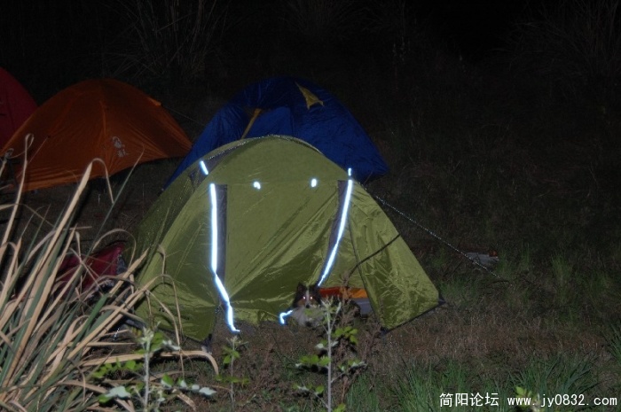 BigBull_DSC_2337.JPG
