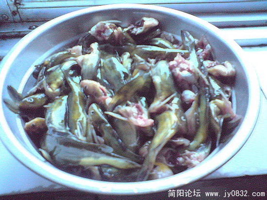 DSC00924.jpg