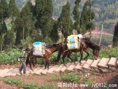 拟开发的福宝古镇 ：当地落后但实用的物流.jpg