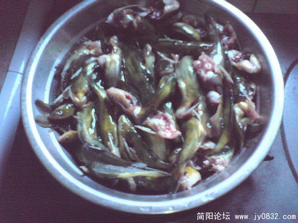 DSC00923.jpg