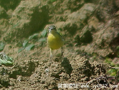 长焦 (15).jpg