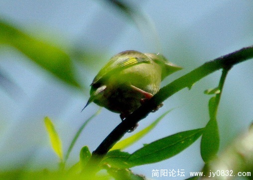 长焦 (16).jpg