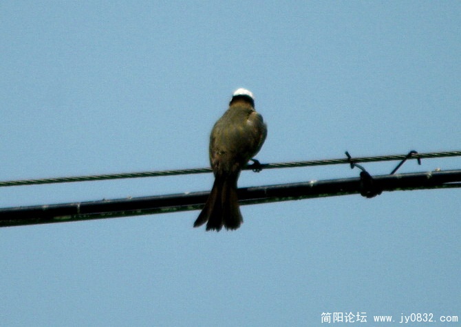 长焦 (8).jpg