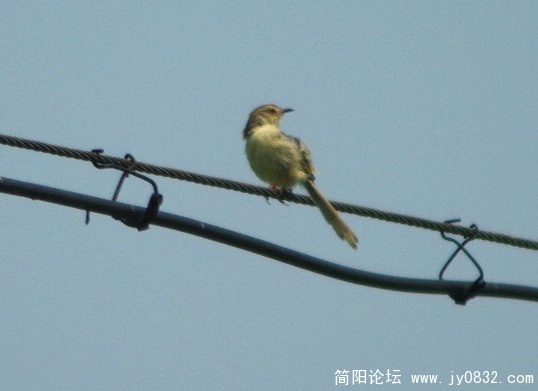 长焦 (2).jpg