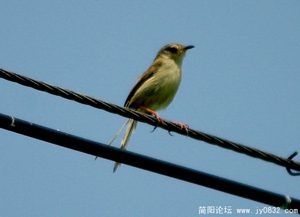 长焦 (4).jpg