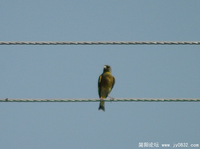 长焦 (10).jpg