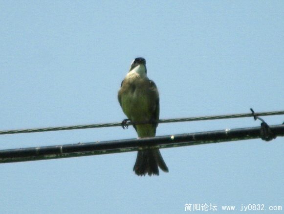 长焦 (9).jpg