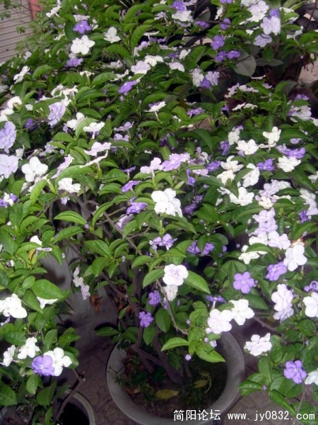 S73R3427.JPG