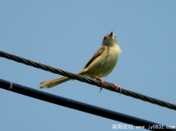 长焦 (5).jpg