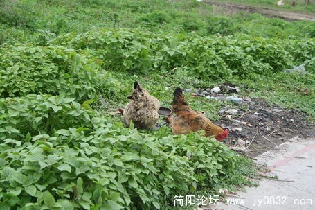 9_缩小大小.jpg