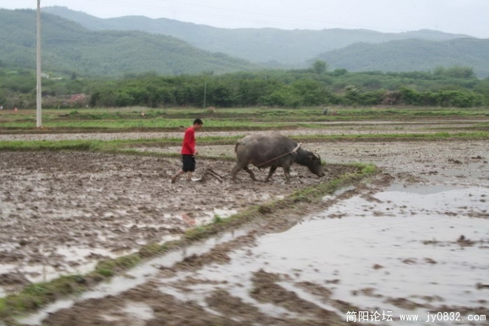 3_缩小大小_缩小大小.jpg