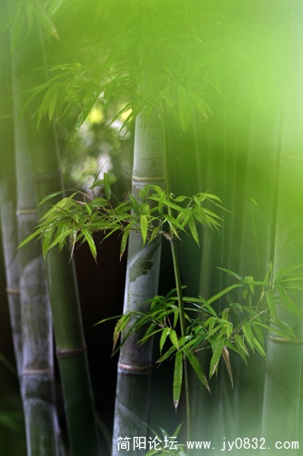 1-虚怀若谷IMG_0694.jpg