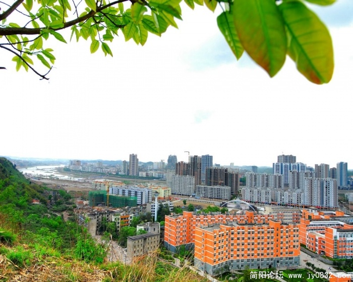 新诚区建筑楼群