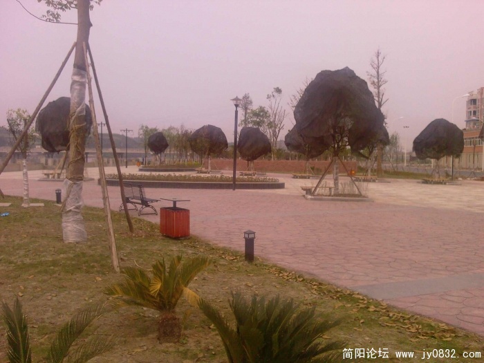 照片-0046.jpg
