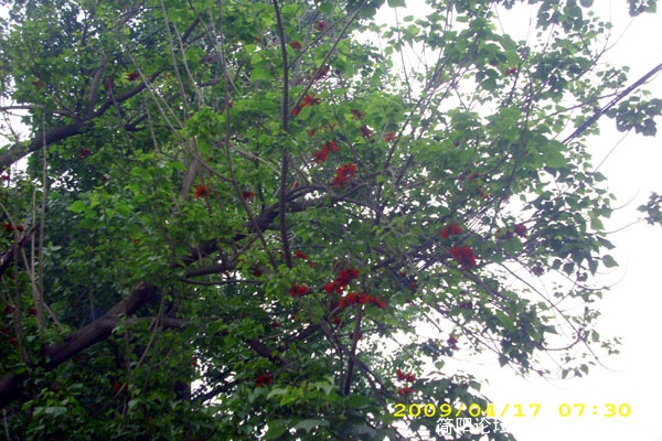 DSCI1514.jpg