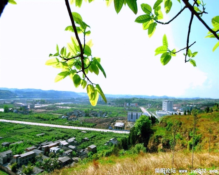 20090417_ce7b9981d46b219d24b15pbQRrsJaNWC.jpg