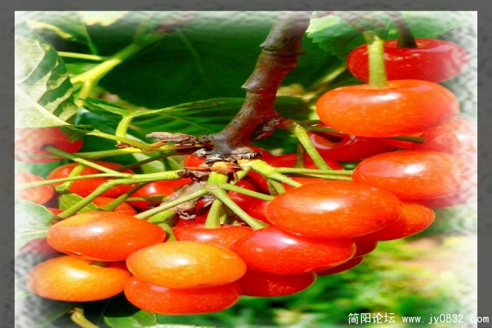 结成砣