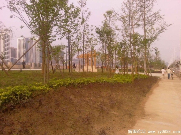 照片-0042.jpg