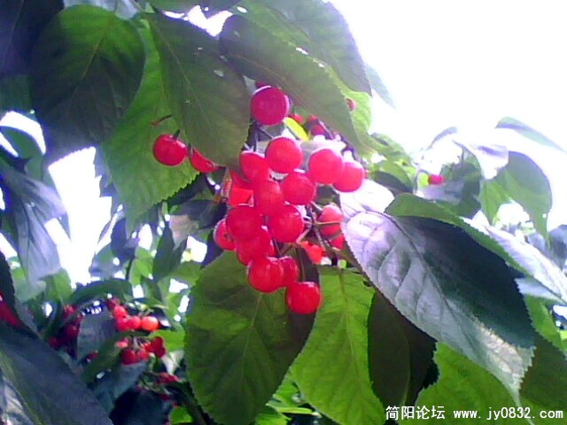 20090419_b3b7f2b586f3e7849b99u3HGEU3ean9I[1].jpg