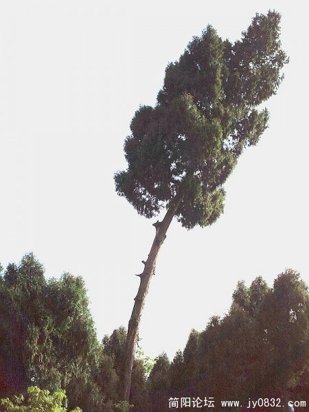 照片1091.jpg
