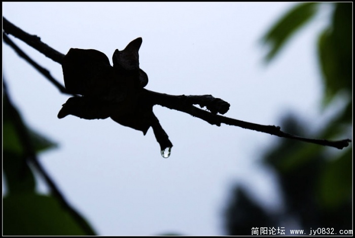nEO_IMG_DSC022411.jpg
