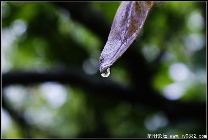 nEO_IMG_DSC02246.jpg