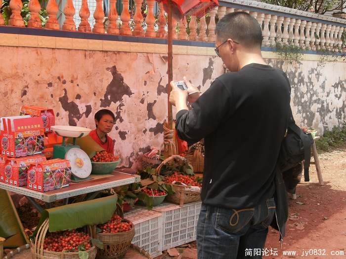 三哥发现这儿的樱桃才叫好