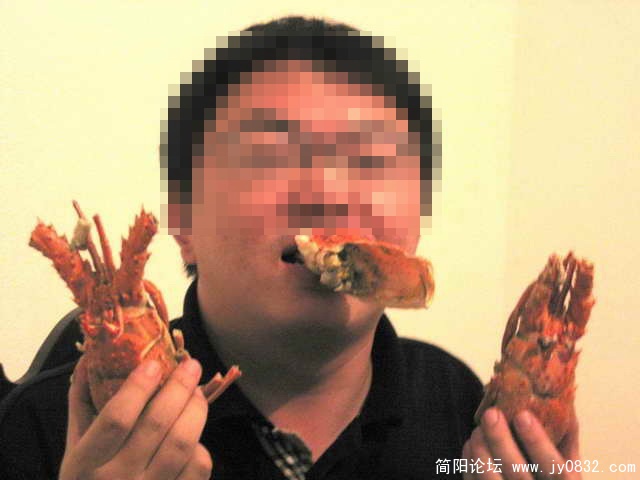 但是可是以及却是，安哥拉的龙虾便宜的要死