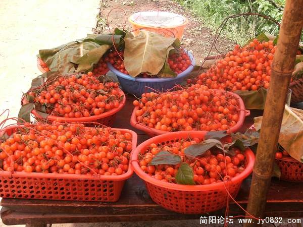好喜庆