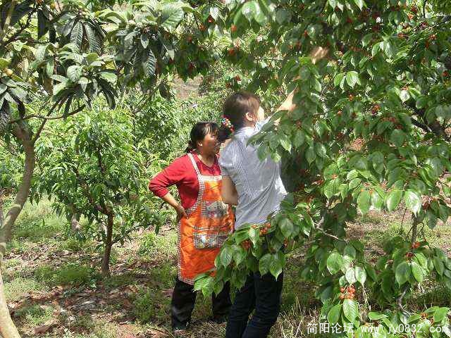 表乱摘哦，小妹妹，阿姨来教你
