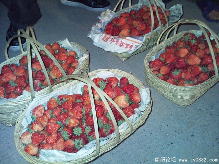 照片1132.jpg
