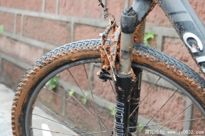 BigBull_DSC_2629.JPG