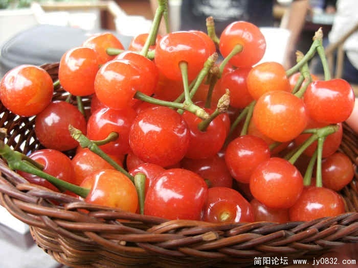 照片 001.jpg