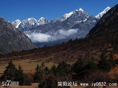 20090414_9caa6ee544162358837cjucxPgLQfShp.jpg