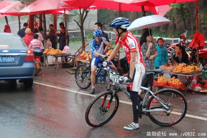 BigBull_DSC_2934.JPG