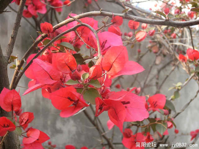 照片 015.jpg