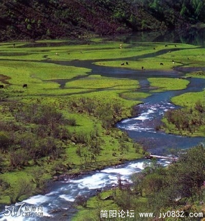 20090420_5e63af2f3db0fd0182b8N9V1bB8XueLg.jpg