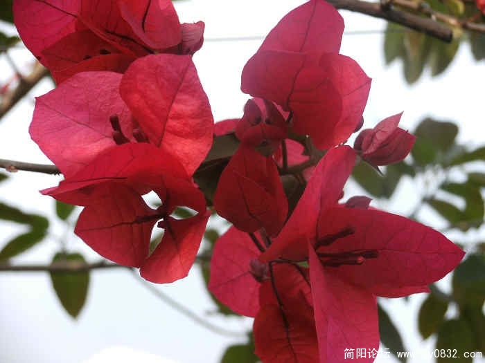 照片 016.jpg