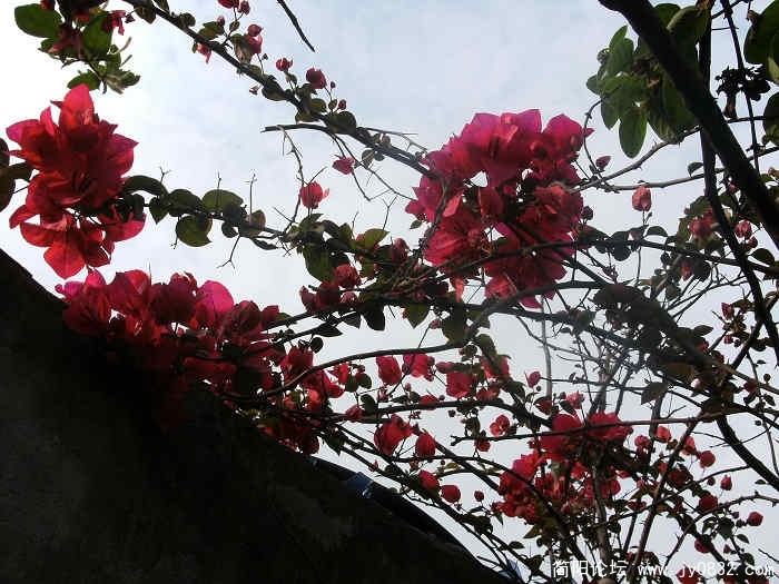 照片 028.jpg