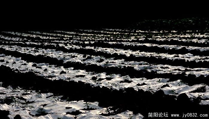 照片 042.jpg