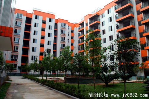中庭.JPG