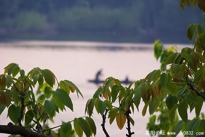 照片 0351.jpg