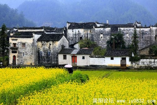 1550904_wuyuan_16.jpg