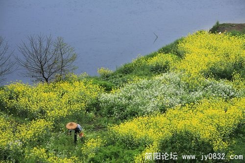 1550904_wuyuan_17.jpg