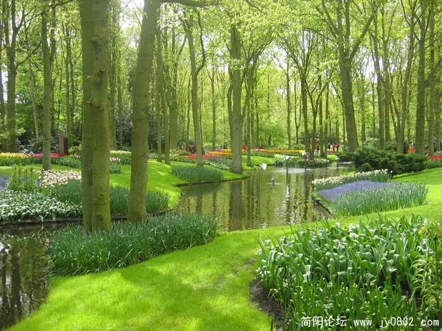 公园