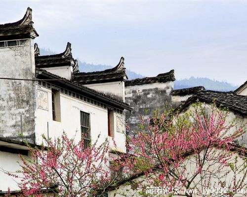 1550904_wuyuan_20.jpg
