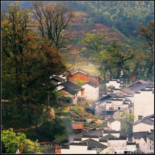 1550904_wuyuan_13.jpg